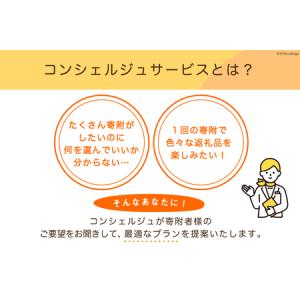 ふるさと納税 【あなただけの返礼品が届く】 コ...の詳細画像1