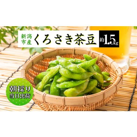 ふるさと納税 枝豆 くろさき 茶豆 1.5kg (8月中旬発送開始) 朝採り 新鮮 豆 野菜 冷蔵 ...