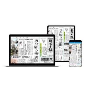 ふるさと納税 新潟日報電子版（朝刊＋おとなプラス）1カ月 雑貨 日用品 新潟県新潟市