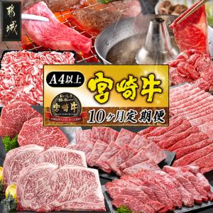 ふるさと納税 宮崎牛定期便(10ヶ月)〔01-067-T10〕_(都城市) 宮崎牛 A5 10ヶ月定期便 赤身 バラ ロース スライス 焼肉用 切り落とし サーロイン.. 宮崎県都城市