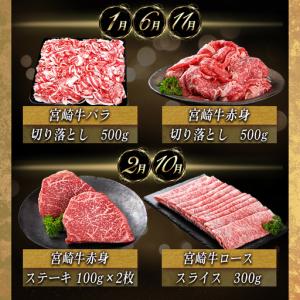 ふるさと納税 宮崎牛定期便(10ヶ月)〔01-...の詳細画像1