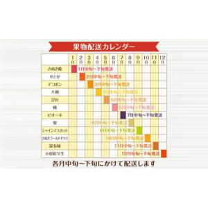 ふるさと納税 月の旬果定期便♪(12ヶ月連続)...の詳細画像3