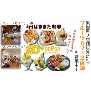 ふるさと納税 月の旬果定期便♪(12ヶ月連続)...の詳細画像4