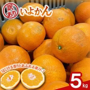ふるさと納税 みかん 訳あり 伊予柑5kg 【2026年1月以降発送】【KR005_x】 愛媛県松山市