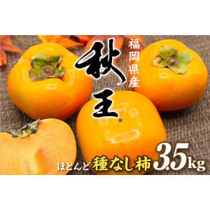 ふるさと納税 [先行受付] 渋柿 (蜂屋柿) [2026年10月より順次発送