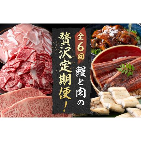 ふるさと納税 【定期便全6回】鰻と肉の贅沢定期便！鰻とお肉が交互に届くお楽しみ便 t0101-003...