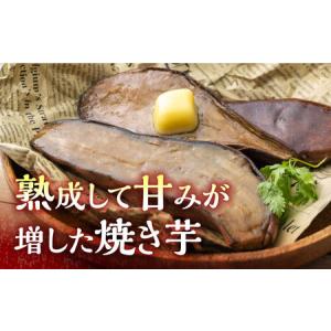 ふるさと納税 【全12回定期便】孝行芋 焼き芋...の詳細画像2