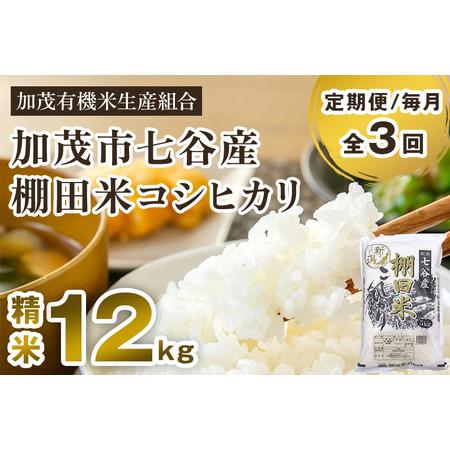 ふるさと納税 【定期便3回毎月お届け】新潟県加茂市 七谷産 棚田米コシヒカリ 精米12kg（5kg×...