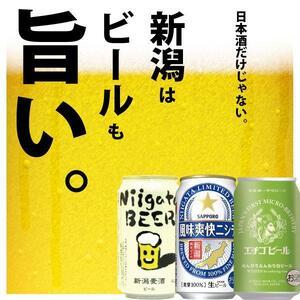ふるさと納税 新潟ビール飲み比べ 3種X2本（計6本）セット 新潟県
