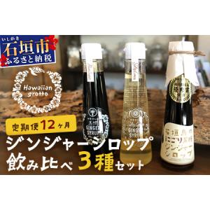 ふるさと納税 【12カ月定期便】ジンジャーシロップ3本セット飲み?べ 12ケ? 定期便 | 定期便 沖縄県石垣市 沖縄 沖縄県 琉球 八重山 八重山諸島 .. 沖縄県石垣市