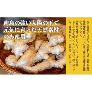 ふるさと納税 【12カ月定期便】ジンジャーシロ...の詳細画像2