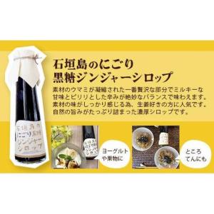 ふるさと納税 【12カ月定期便】ジンジャーシロ...の詳細画像4