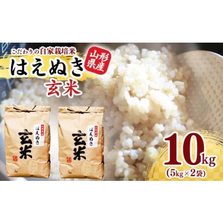 ふるさと納税 《減農薬栽培》【新米】玄米 10kg 「はえぬき」(5kg×2袋) 2024年産(令和...