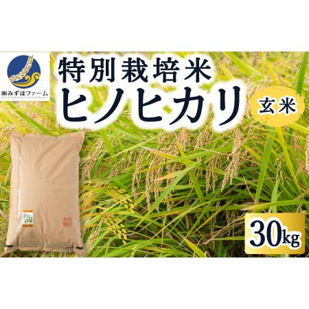 ふるさと納税 P458-30 みずほファームの特別栽培米 ヒノヒカリ 玄米30kg 福岡県うきは市