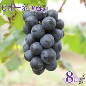 ふるさと納税 定期便全3回 和歌山の人気の夏の...の詳細画像3