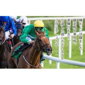 ふるさと納税 ホーストラスト北海道支援 100...の詳細画像1