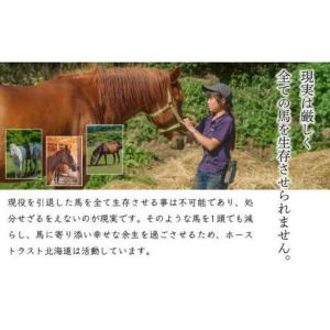 ふるさと納税 ホーストラスト北海道支援 100...の詳細画像2
