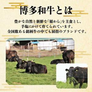 ふるさと納税 【全10回定期便】 博多和牛 ヒ...の詳細画像1