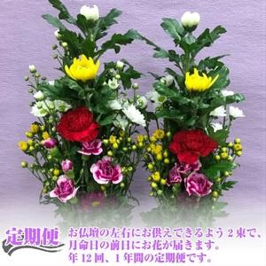 ふるさと納税 SBT0013 《定期便12ヵ月...の詳細画像1