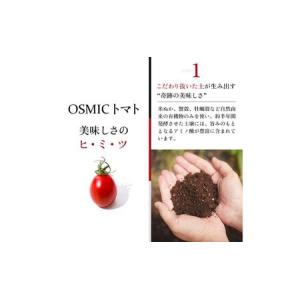 ふるさと納税 OSMIC トマト トマトグラン...の詳細画像3