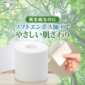 ふるさと納税 トイレットペーパー 1.5倍 ダ...の詳細画像3