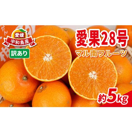 ふるさと納税 訳あり 愛果28号 5kg マル南フルーツ 果物 柑橘 みかん サイズ 不揃い 高級 ...