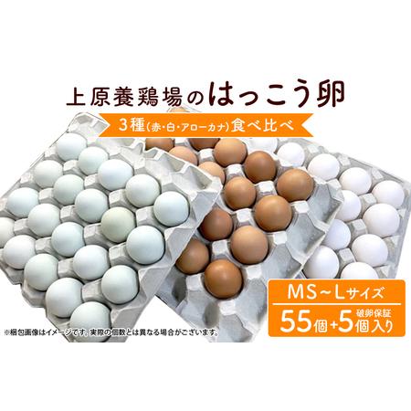 ふるさと納税 はっこう卵　3種食べ比べMS~Lサイズ 55個＋破卵保障5個 卵 種類 サイズ おまか...