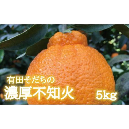 ふるさと納税 みかん 蜜柑 フルーツ 果物 デコポン 不知火 【先行予約】有田育ちの濃厚不知火(ご家...