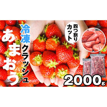 ふるさと納税 福岡県産 冷凍いちご クラッシュあまおう 2kg SF054-1 福岡県須恵町