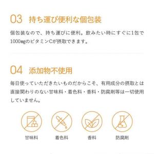 ふるさと納税 【12ヶ月定期便】【Lypo-C...の詳細画像4
