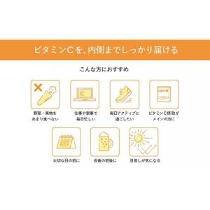 ふるさと納税 【6ヶ月定期便】【Lypo-C】...の詳細画像4
