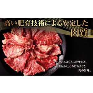 ふるさと納税 熊本県産黒毛和牛 焼肉 カルビ ...の詳細画像2