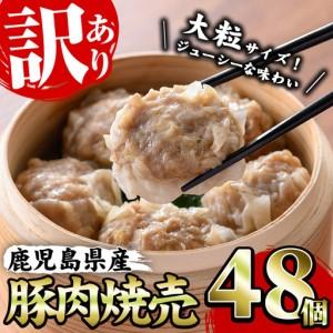 ふるさと納税 訳あり 焼売 48個 鹿児島県産 豚肉 焼売【00-008-15】 鹿児島県いちき串木野市