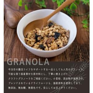 ふるさと納税 【定期便6ヶ月】厳選大麦グラノー...の詳細画像2
