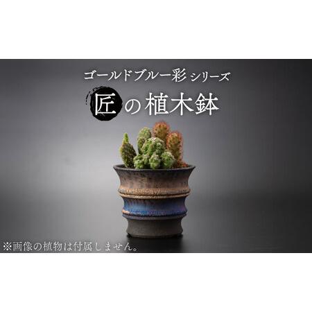 ふるさと納税 【美濃焼】匠の植木鉢 ゴールドブルー 彩シリーズ【角山製陶所】観葉植物 鉢植え プラン...