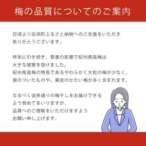 ふるさと納税 梅干し つぶれ はちみつ梅干し ...の詳細画像1