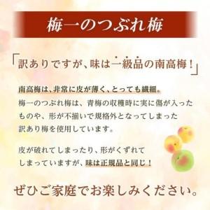 ふるさと納税 梅干し つぶれ はちみつ梅干し ...の詳細画像4