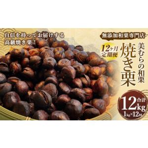 ふるさと納税 < R8年熊本地震復興支援 >【定...の商品画像