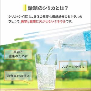 ふるさと納税 A1-22563/財寶温泉強炭酸...の詳細画像2