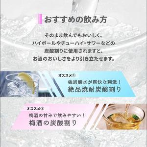 ふるさと納税 A1-22563/財寶温泉強炭酸...の詳細画像3