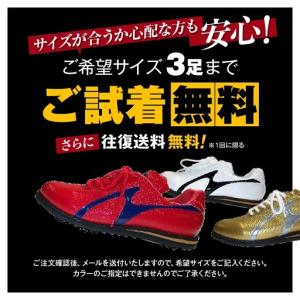ふるさと納税 学生 向け 野球 スパイク ( ...の詳細画像4