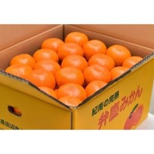 ふるさと納税 みかん 10kg 温州みかん 【ais002】 和歌山県田辺市