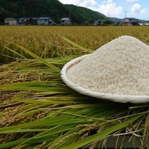 ふるさと納税 紀州のお米 熊野米2kg / 田...の詳細画像2