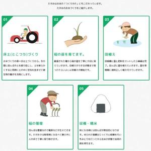 ふるさと納税 紀州のお米 熊野米2kg / 田...の詳細画像3