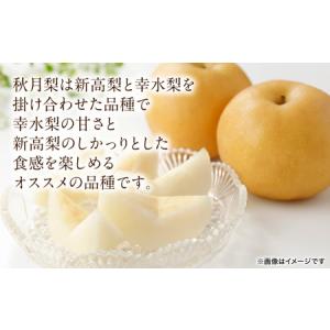 ふるさと納税 【先行予約】 秋月梨 約5kg ...の詳細画像1
