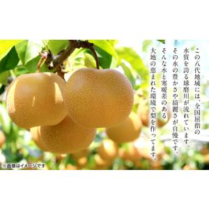 ふるさと納税 【先行予約】 秋月梨 約5kg ...の詳細画像2