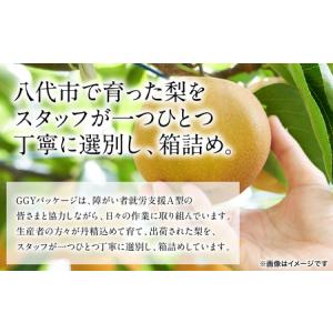 ふるさと納税 【先行予約】 秋月梨 約5kg ...の詳細画像3