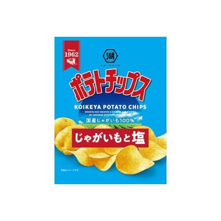 ふるさと納税 湖池屋　ポテトチップス　じゃがいもと塩　27g×24袋 埼玉県加須市