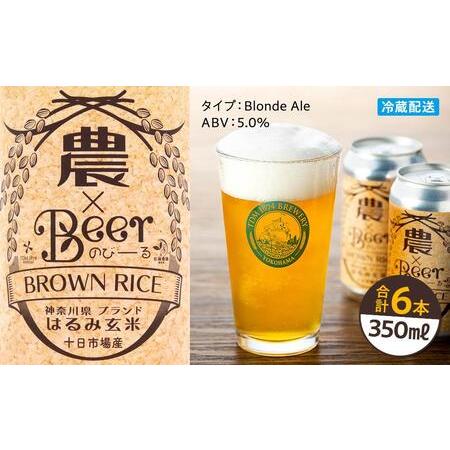 ふるさと納税 TDM 1874 Brewery　クラフトビール　農×Beer（のびーる）はるみ玄米（...