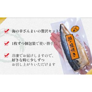 ふるさと納税 干物・焼魚・塩辛セット 4~6種...の詳細画像2